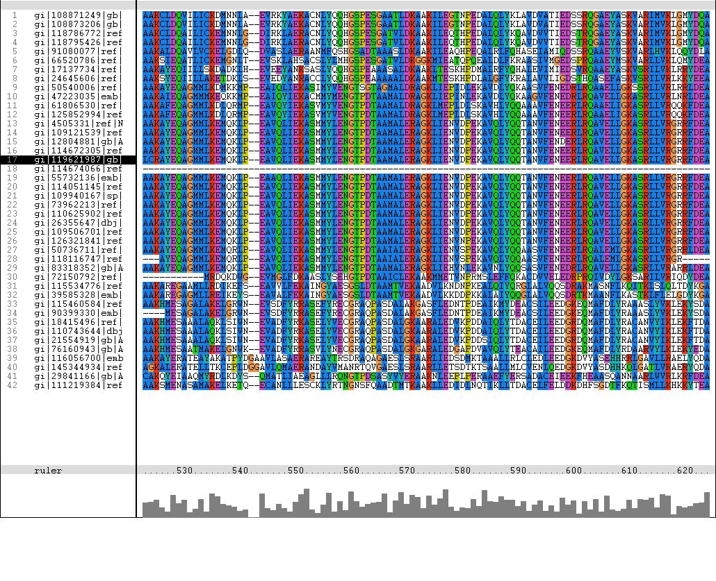 ClustalX-alignment.JPG