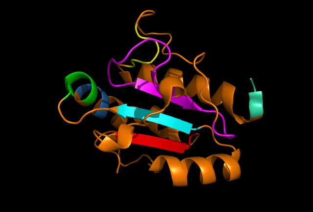 File:Image of ERp18 with conserved residues.png