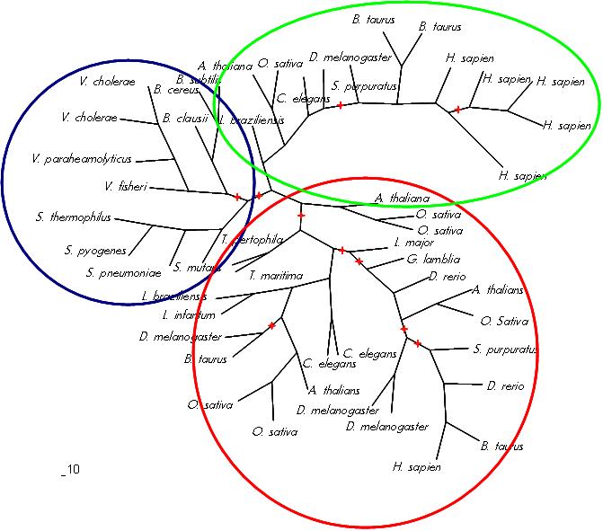 TREEcircle.jpg