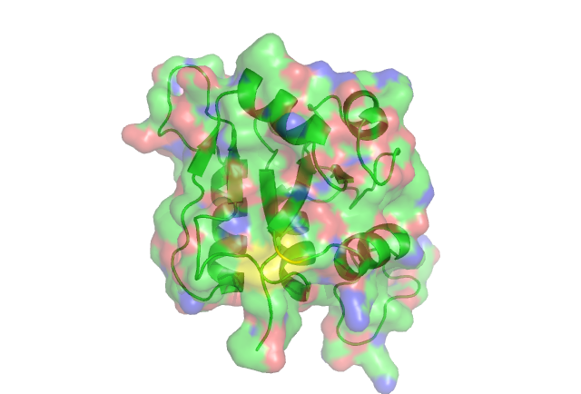 Pymol.png