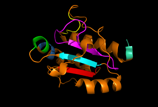 Image of ERp18 conserved secondary structure.png