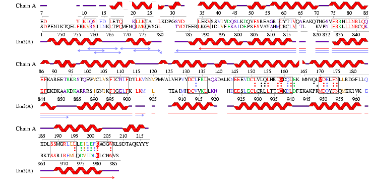 RNA template 1hu3.gif