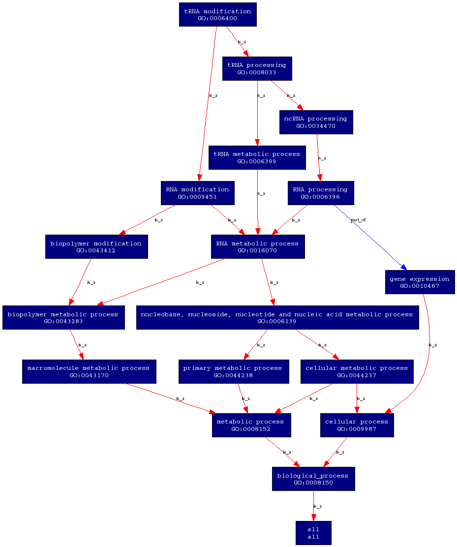 PROKNOW-biological process.png