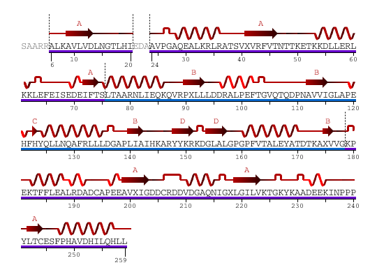 Sequence and secondary structure.png