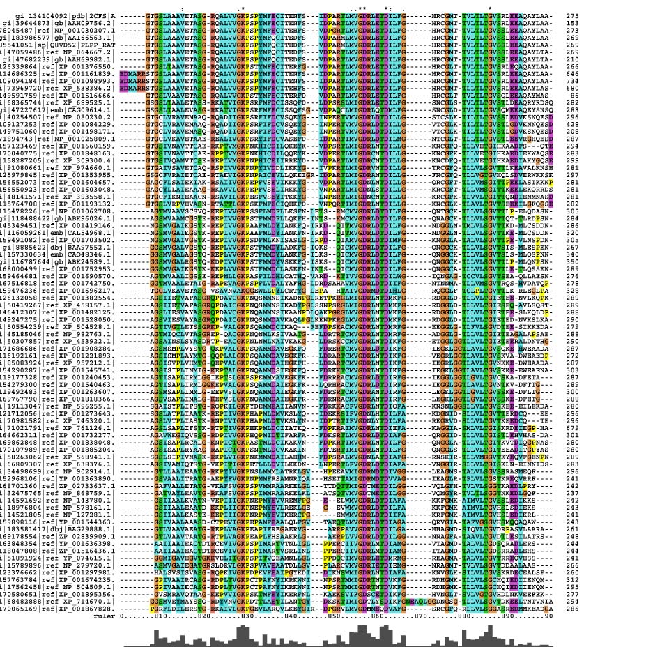 Pyridoxal phosphatase MSA sequences conserved .jpg