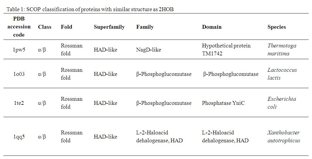 Table 1. SCOP classification of proteins with similar structure as 2HOB.