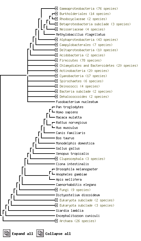 HDHD2 and predicted functional partner.png