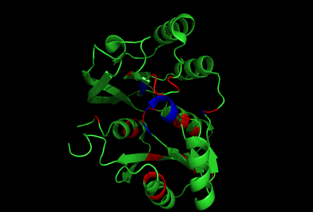 File:1RU8-conserved region n interact with ligand.png