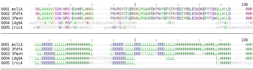 Multipleestructuralalignmenta.jpeg