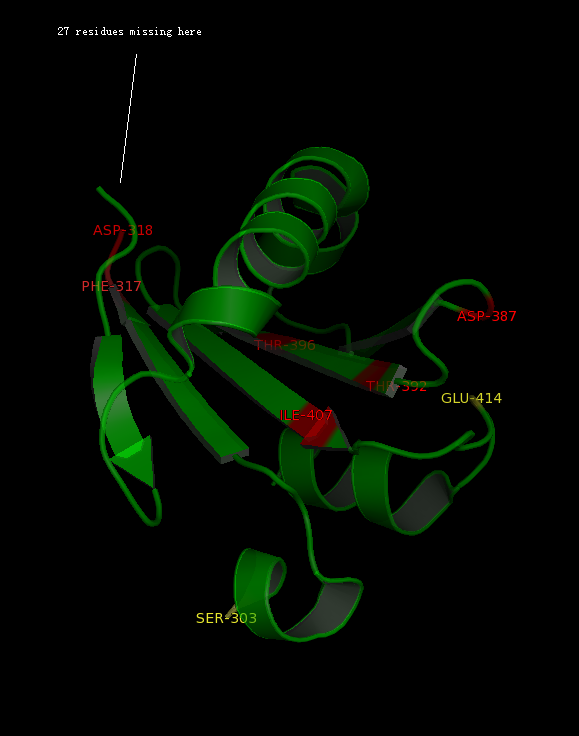 Figure 3D structure analysis.
