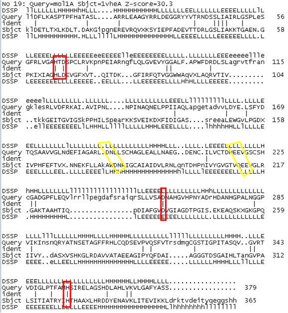 Comparison 2ijz and 1vhe sequence.JPG