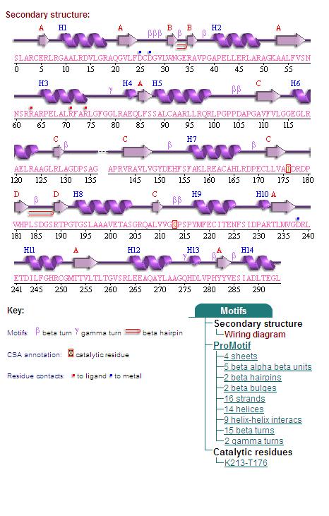 Secondary Structure 2oycA.jpg