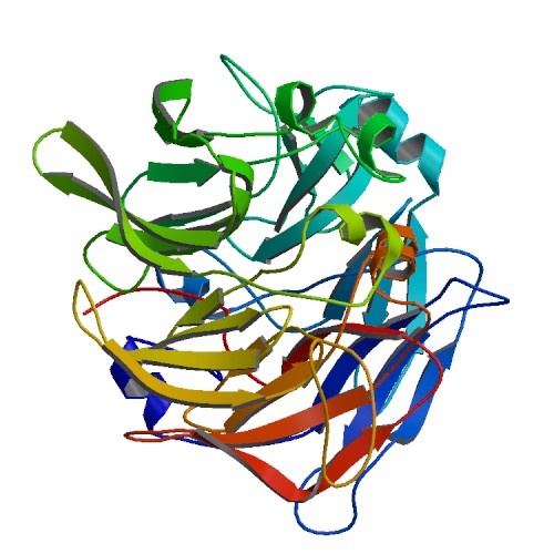 2ece bio r 500structure.jpg