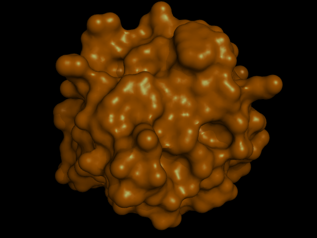 File:General structure of protein.png