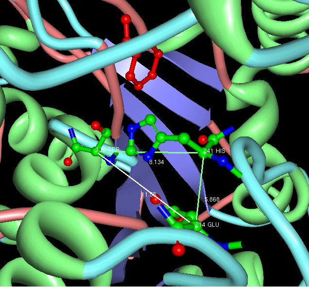 CATALYTIC TRIAD 1.PNG