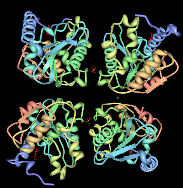 Arylformamidase the whole protein.PNG