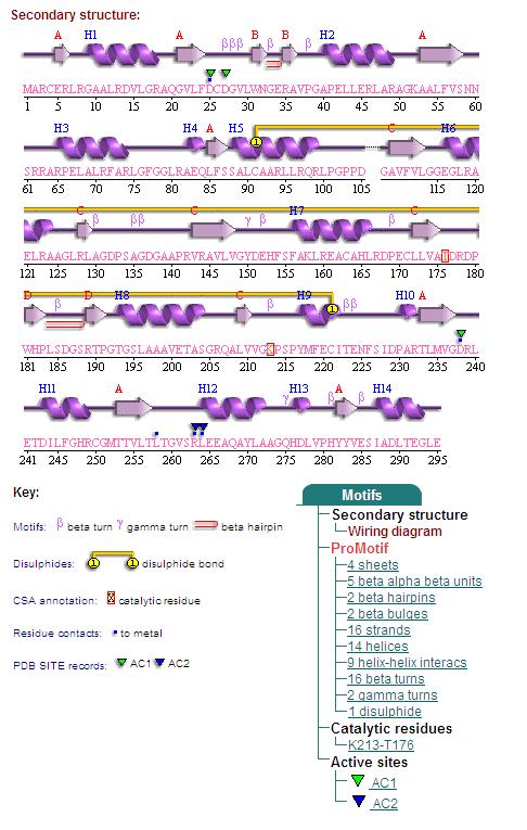 Secondary Structure 2cfsA.jpg