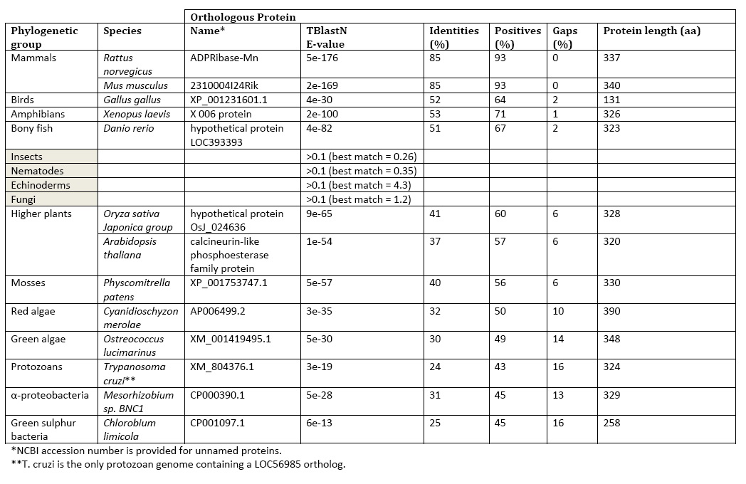 Table.jpg