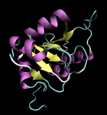 Structure of 2ob5