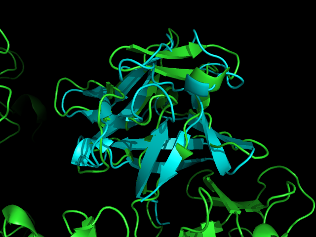 File:Structural comparrison Fascin FGF.png