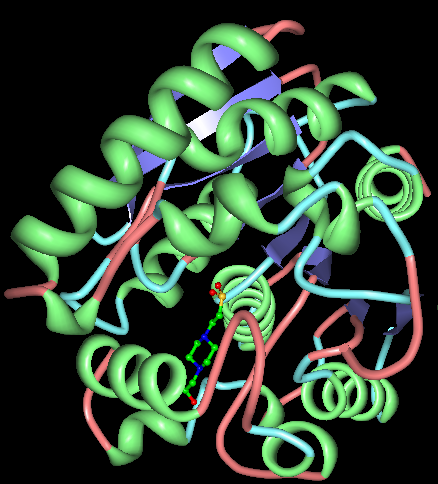 Archeaon Carboxylesterase.PNG