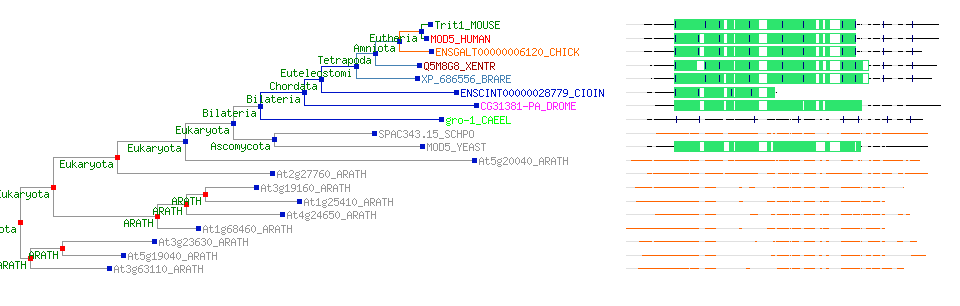 Treeview and multiview.jpg