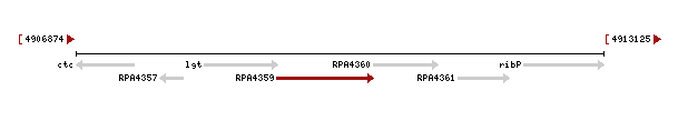 Figure 4. The RPA4359 gene of the protein 1zkd is co-located with an upstream prolipoprotein diacylglyceryl transferase gene (1gt) and downstream with a multicopper polyphenol oxidase (RPA4360), a ribose-phosphate pyrophosphokinase (ribP) and another hypothetical protein of unknown function gene (RPA4361).