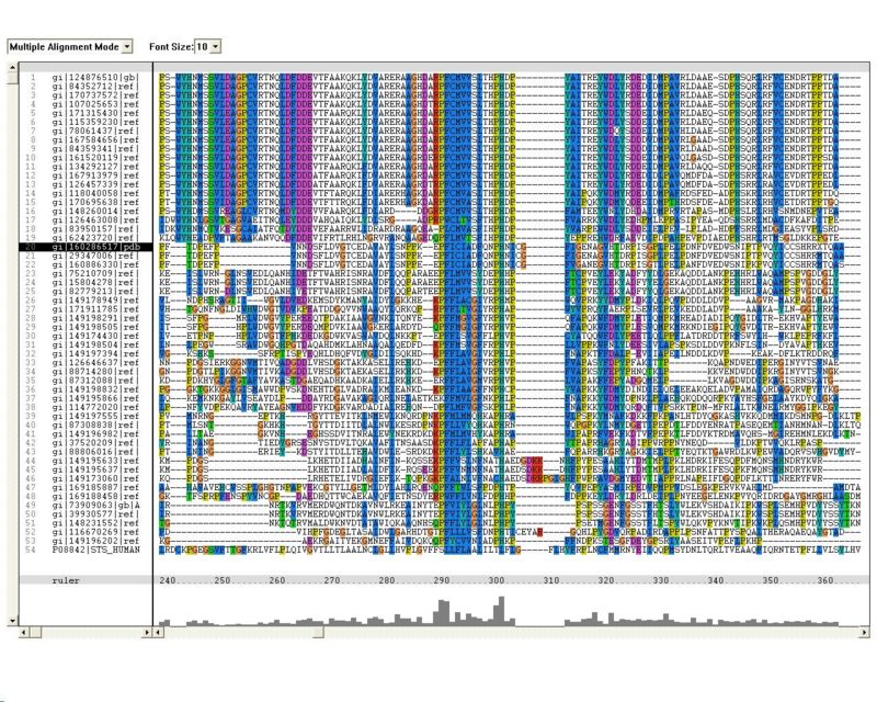thumbFigure 1.3 Multiple sequence alignment (MSA) of proteins showing sequence homology to arylsulfatse K obtained from ClustalX