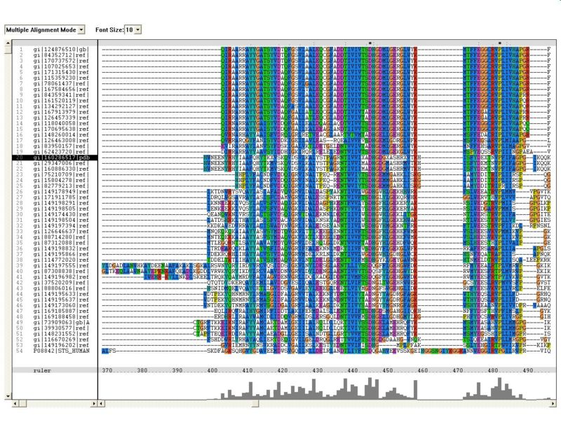 thumbFigure 1.4 Multiple sequence alignment (MSA) of proteins showing sequence homology to arylsulfatse K obtained from ClustalX