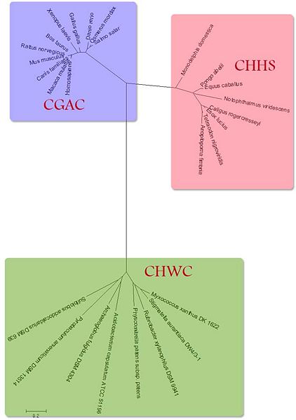 File:Tree-domains-cml.jpg