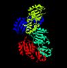 Figure 26: PDB 3fdf protein- chains RasMol..