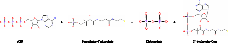 File:CoAD reaction.gif