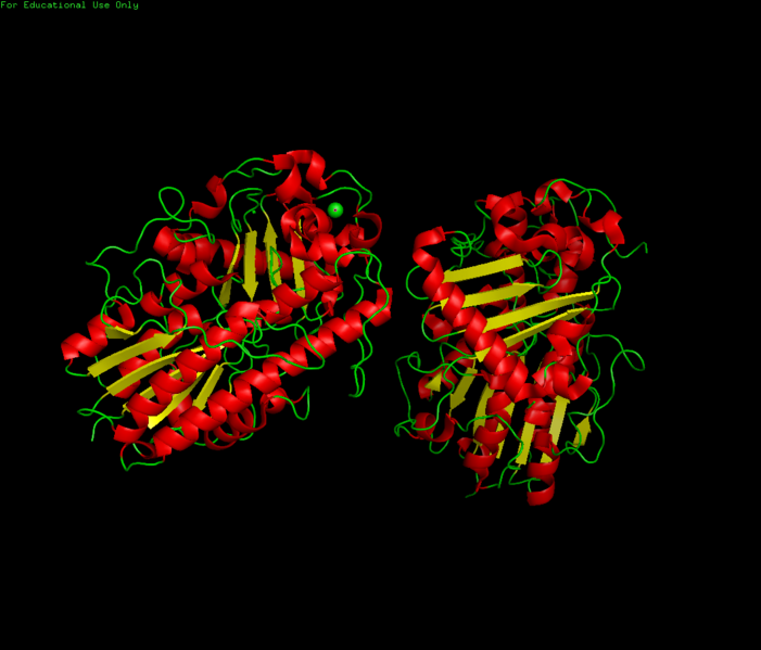 File:Protein showing zinc pymol.png
