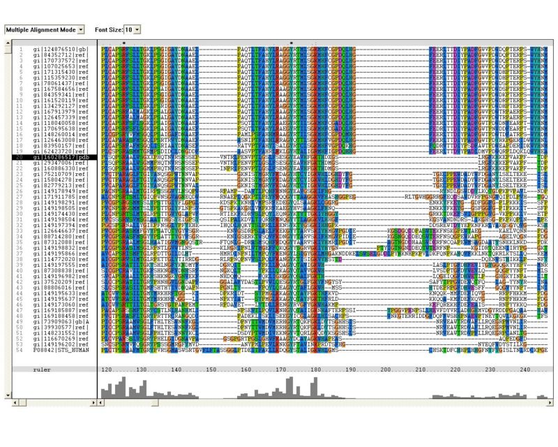 thumbFigure 1.2 Multiple sequence alignment (MSA) of proteins showing sequence homology to arylsulfatse K obtained from ClustalX
