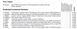 Figure 18: Results for human Ssu72 protein in the STRING database.